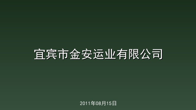 宜宾市金安运业有限公司