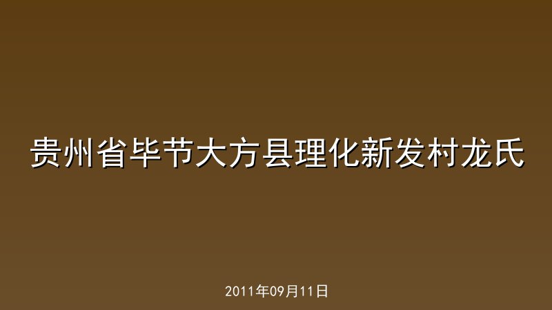 贵州省毕节大方县理化新发村龙氏