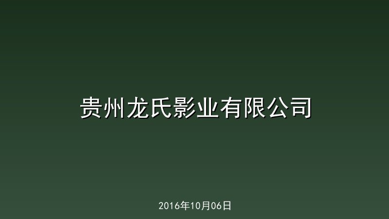 贵州龙氏影业有限公司