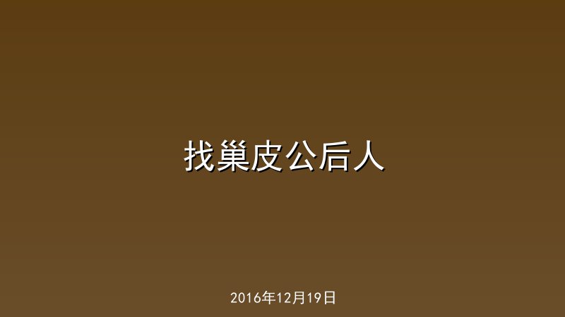 找巢皮公后人