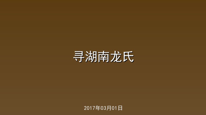 寻湖南龙氏