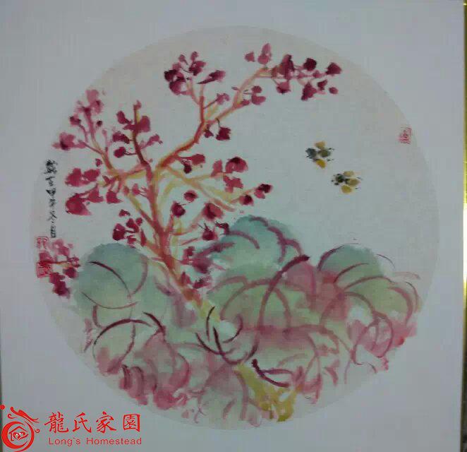 为全球辛勤工作的龙氏宗亲献花一组----秋海棠