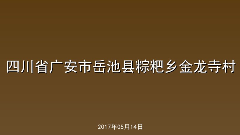 四川省广安市岳池县粽粑乡金龙寺村