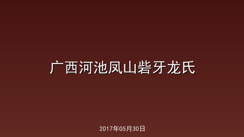 广西河池凤山砦牙龙氏