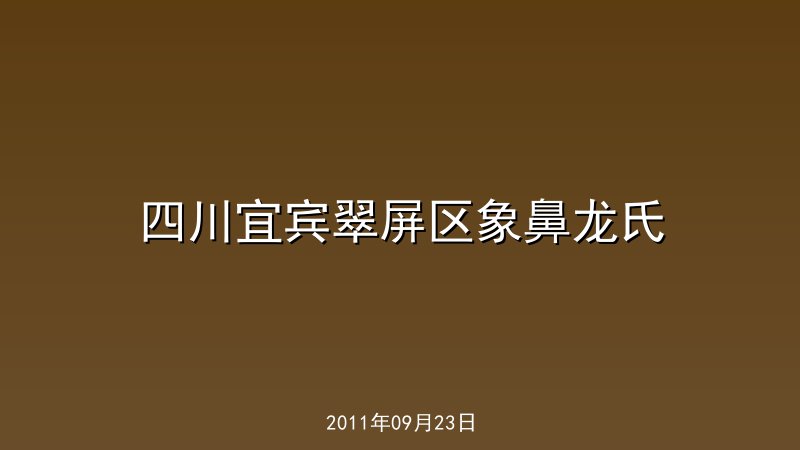 四川宜宾翠屏区象鼻龙氏