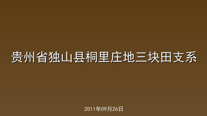 贵州省独山县桐里庄地三块田支系