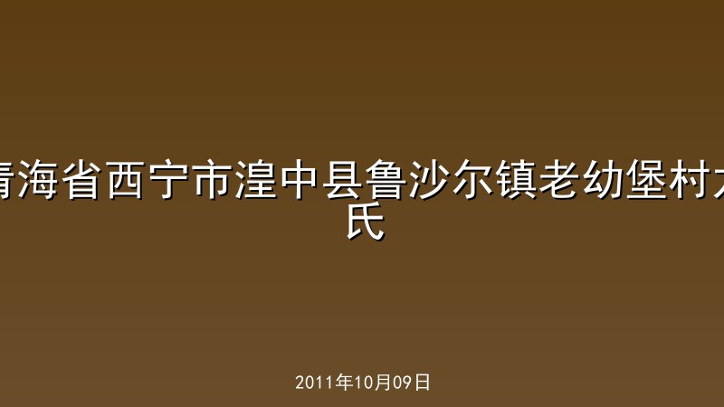 青海省西宁市湟中县鲁沙尔镇老幼堡村龙氏