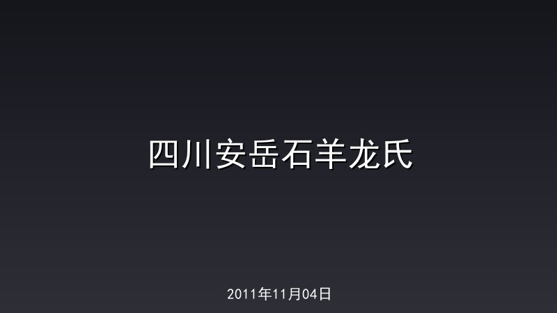 四川安岳石羊龙氏