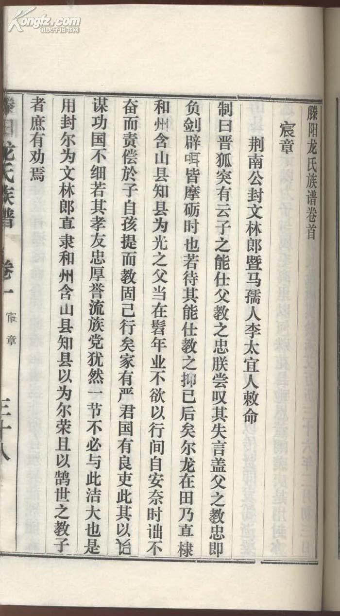 滕阳《龙氏族谱》
