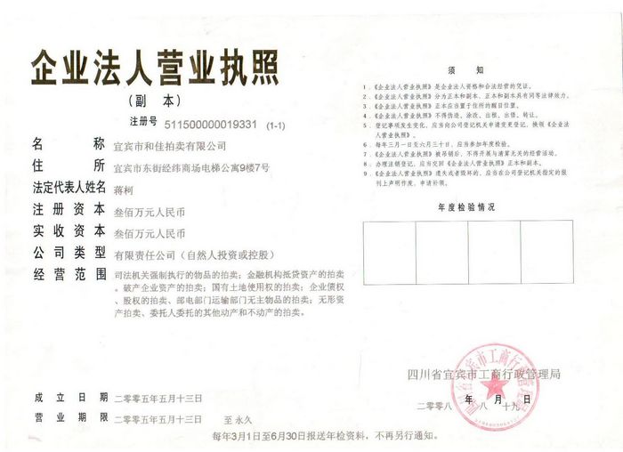 宜宾市和佳拍卖有限公司