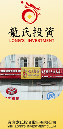 宜宾龙氏投资股份有限公司公司简介