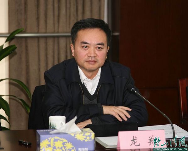 龙翔任南京市委副书记