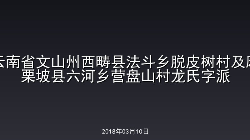 云南省文山州西畴县法斗乡脱皮树村及麻栗坡县六河乡营盘山村龙氏字派