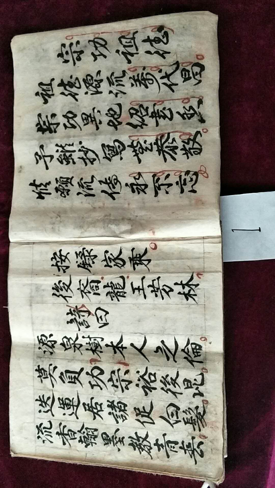 龙志平提供族谱1