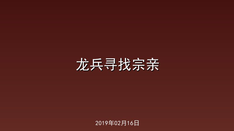 龙兵寻找宗亲