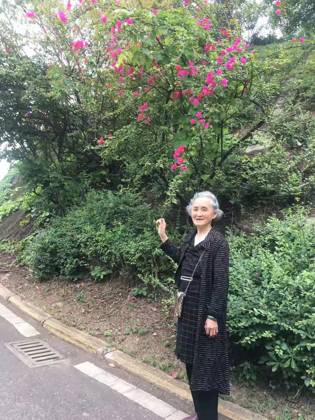 寻找龙氏家人信息