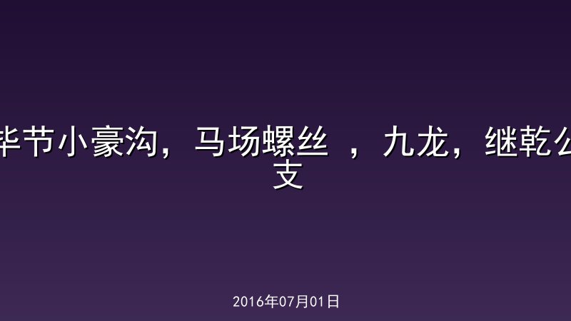 毕节小豪沟，马场螺丝 ，九龙，继乾公支 