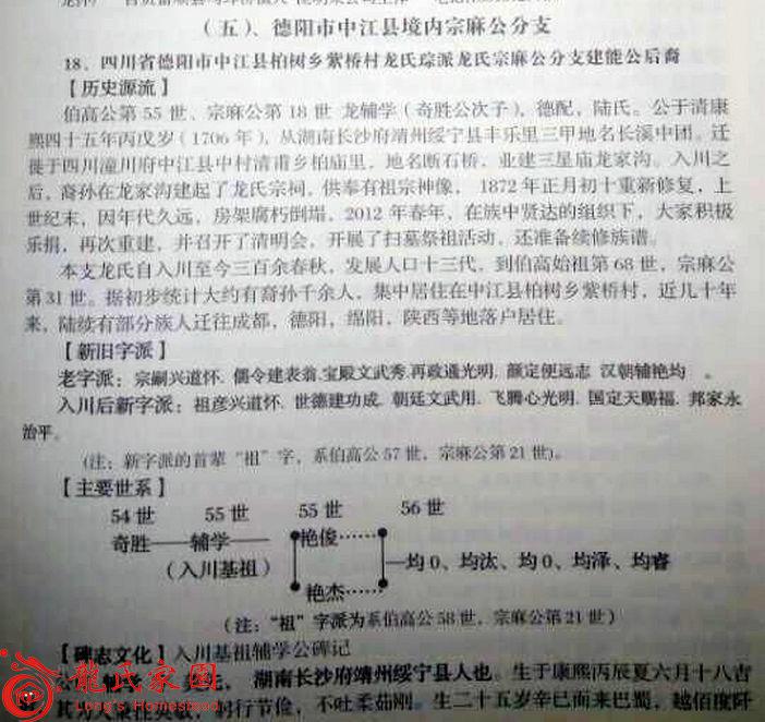 四川省中江县宗麻公分支简介