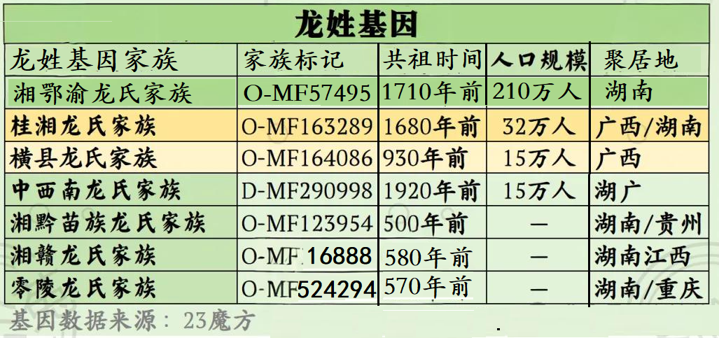 龙姓基因家族