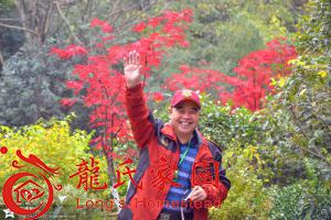 龙振云