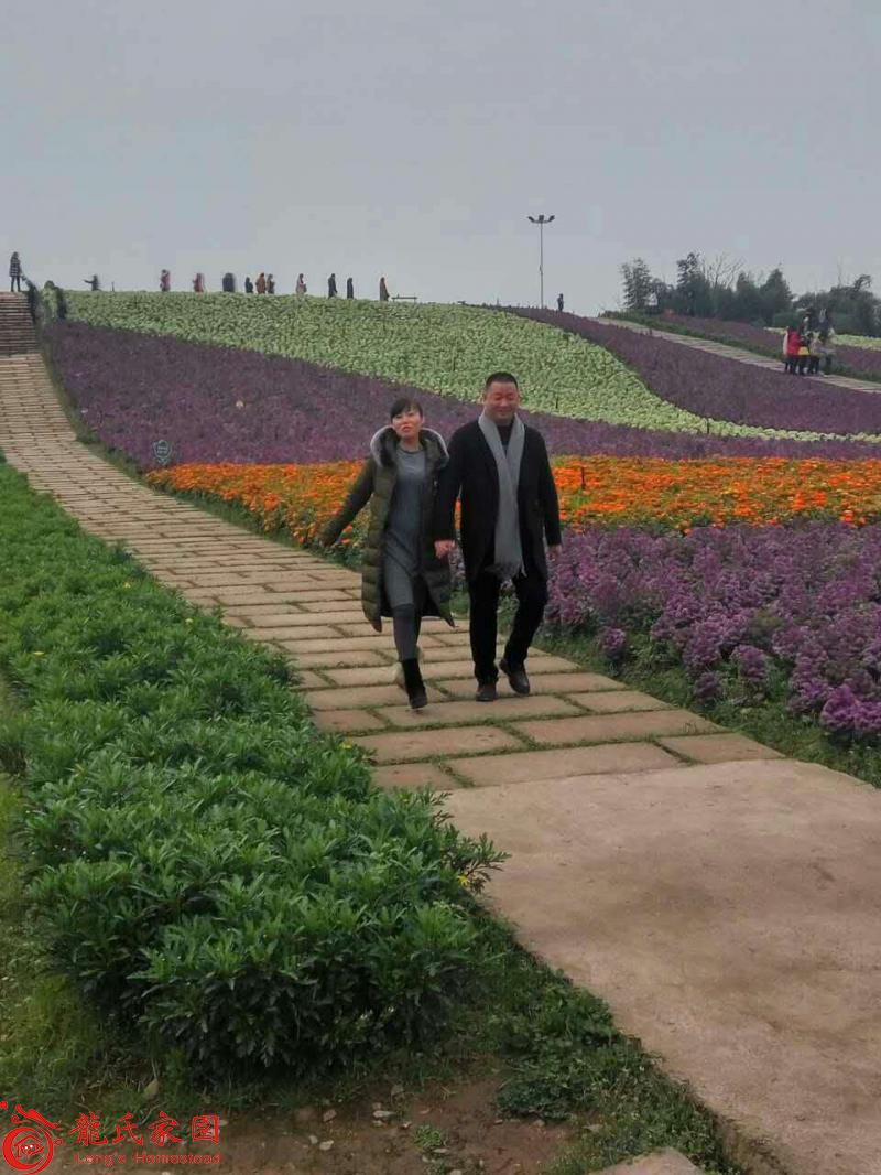 龙建